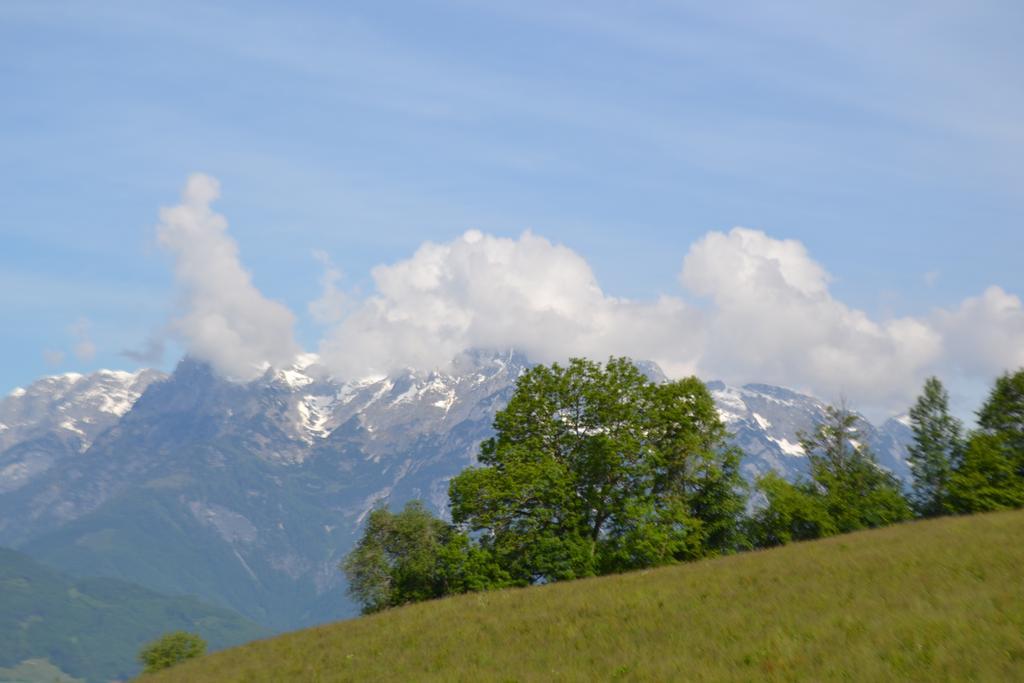 Appartement Steinerhof Werfenweng Exteriér fotografie